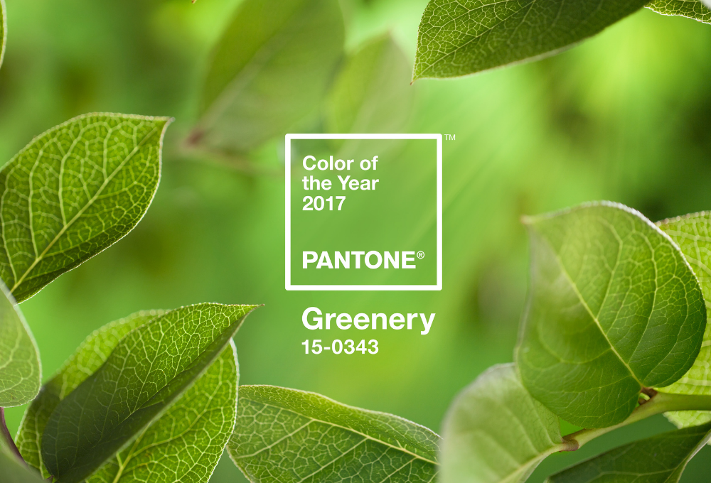 See PANTONE's color of the year along with every other color at any JC Licht location