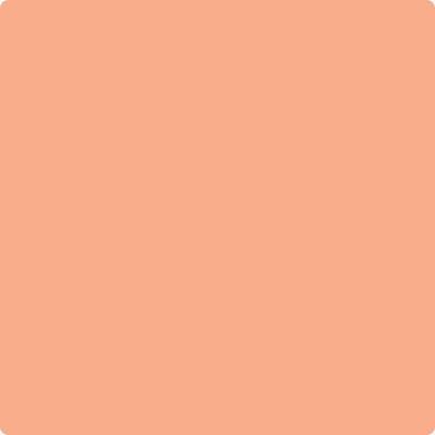 PEACHページ 081 Intense Peach a Paint Color by Benjamin Moore | JC Licht