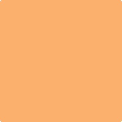 132 Tangerine Zing a Paint Color by Benjamin Moore