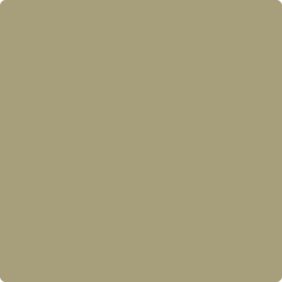 2143-30 Olive Branch a Paint Color by Benjamin Moore