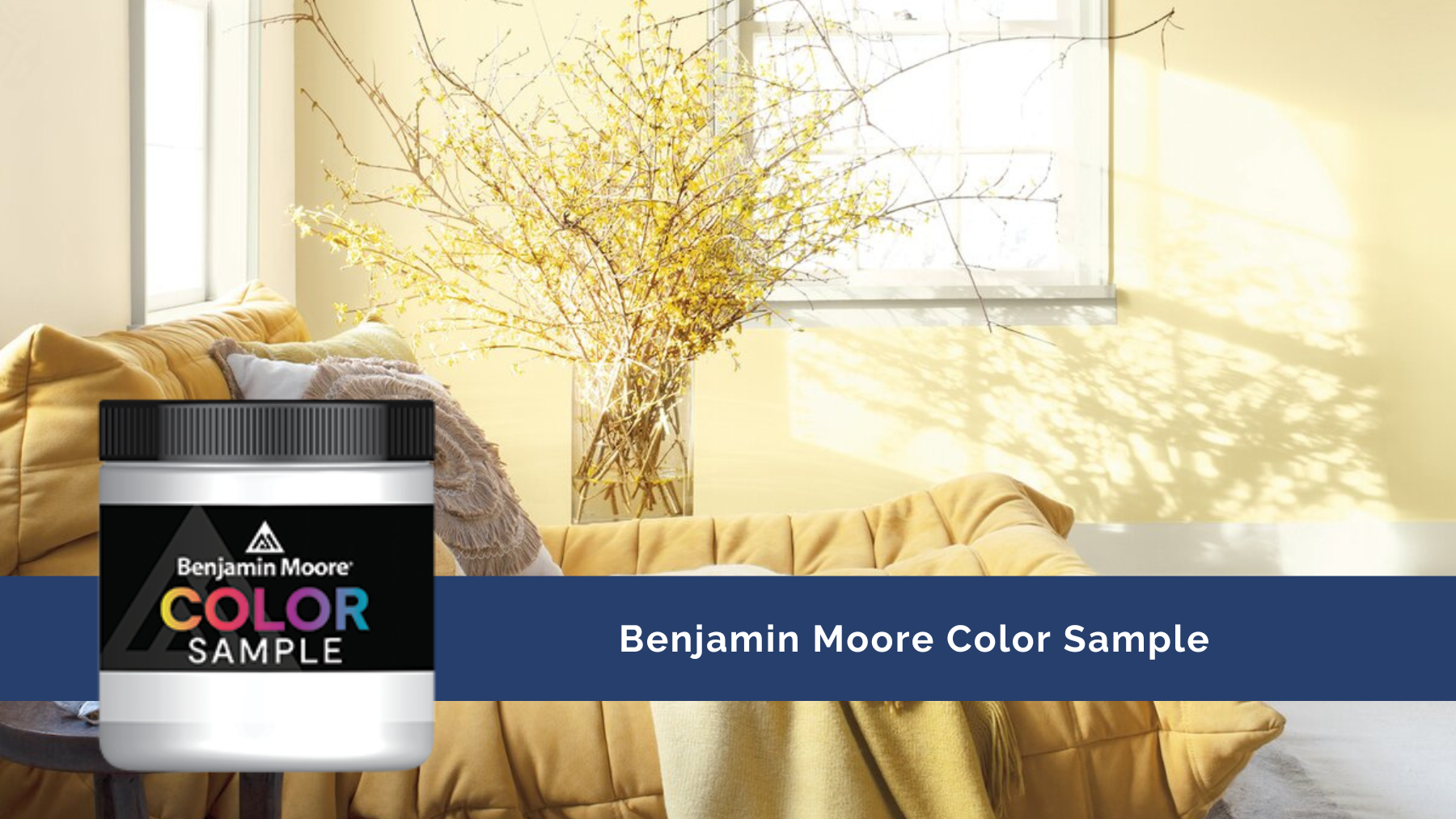Benjamin Moore Half-Pint Color Samples available at JC Licht