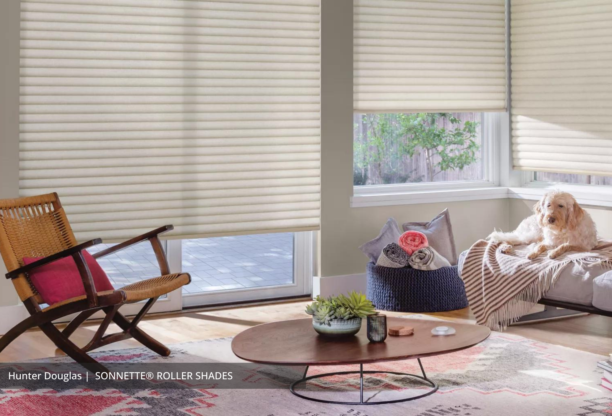 Discovering Versatility: What Are Double Roller Shades and How They Transform Your Space