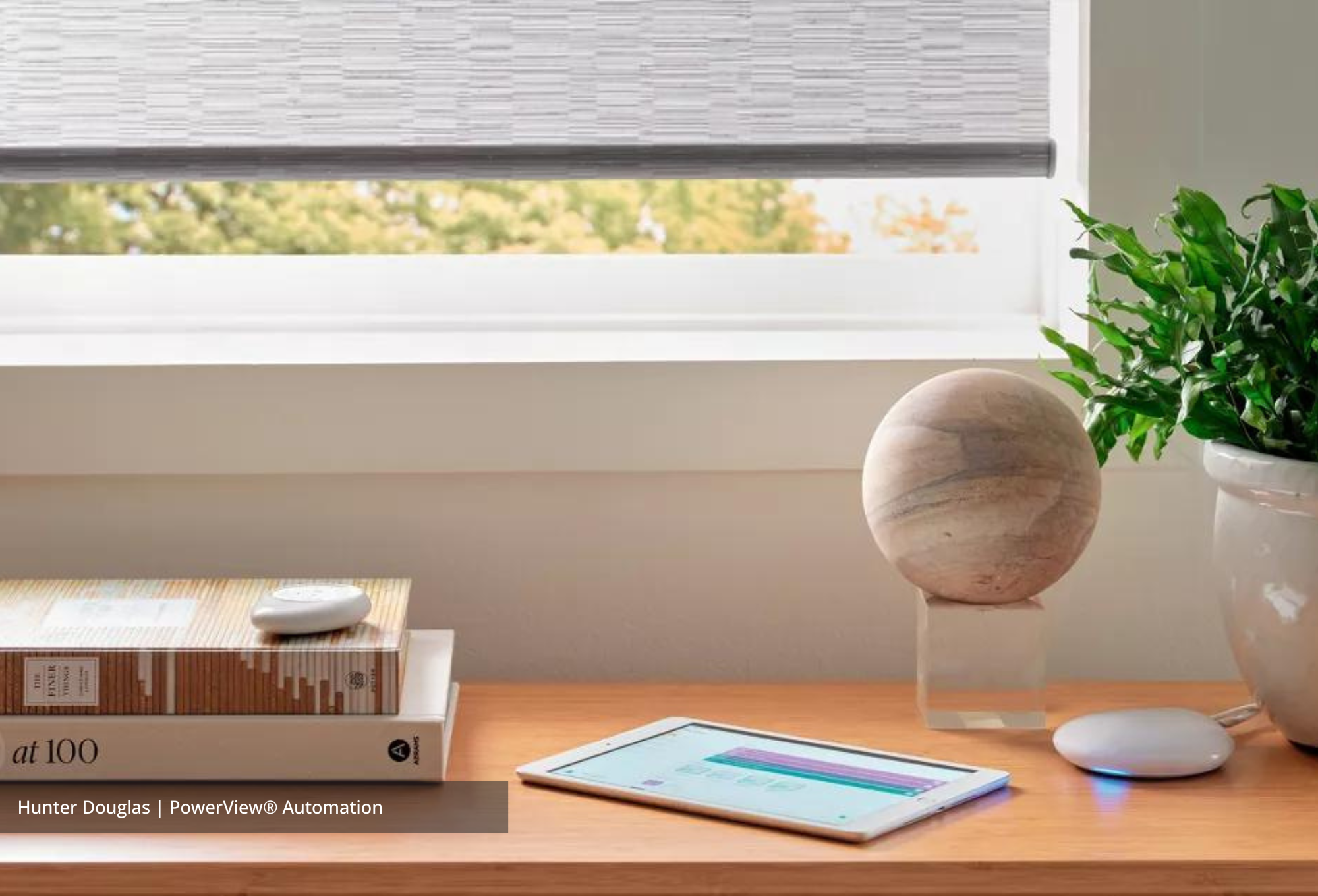 Hunter Douglas Duette® Cellular Shades with PowerView® Automation