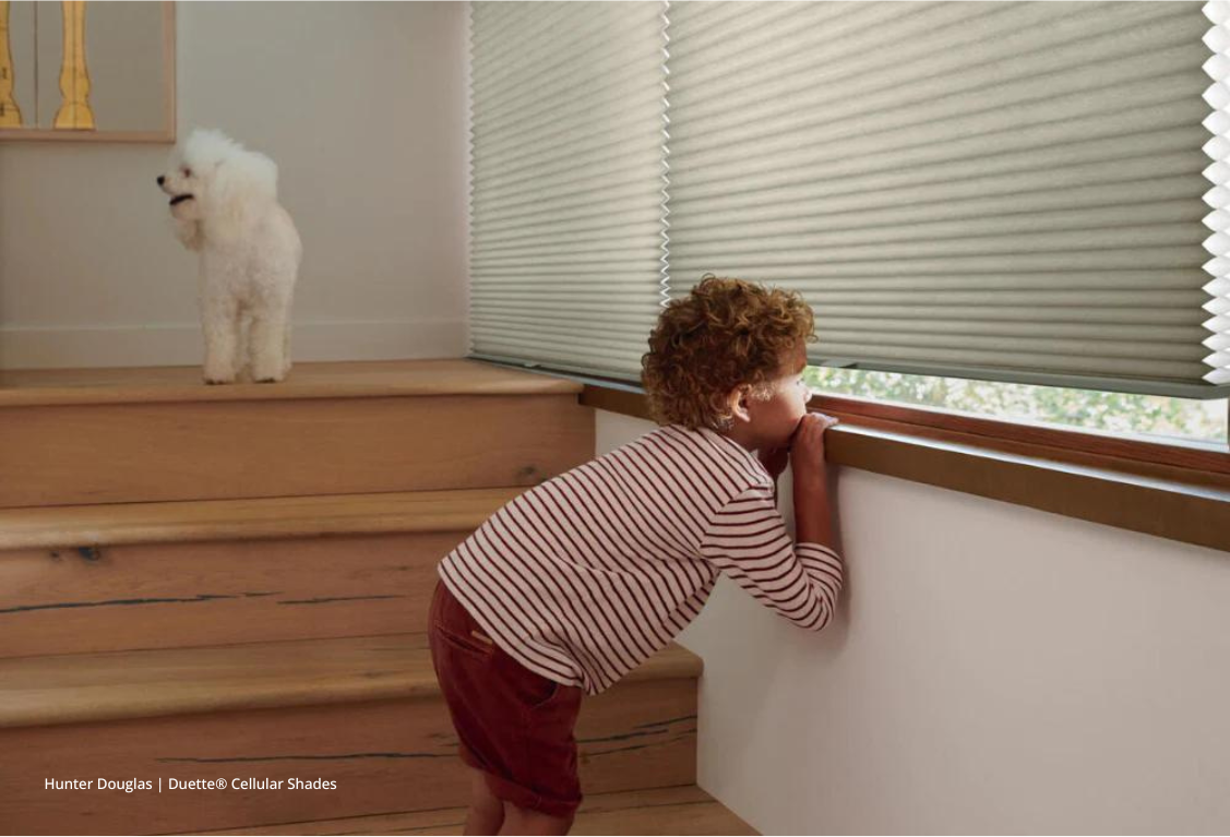 Cellular shades, Hunter Douglas Duette® Honeycomb Blinds, cellular blinds near Chicago, Illinois (IL) and Midwest
