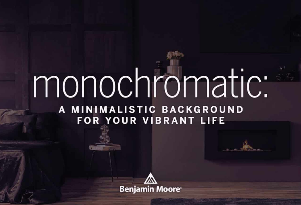 Monochromatic: A Minimalistic Background for Your Vibrant Life | JC Licht