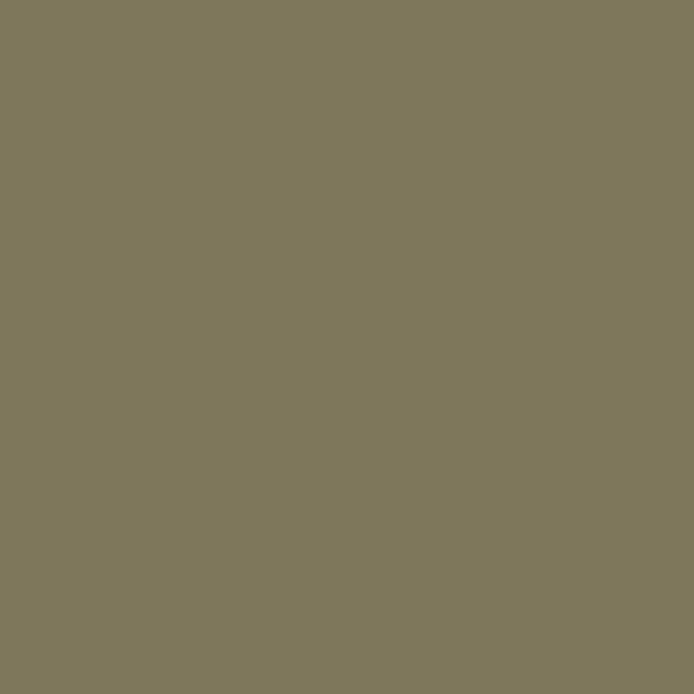 Dibber, A down-to-earth green. By Farrow &amp; Ball, available at JC Licht in Chicago, IL.