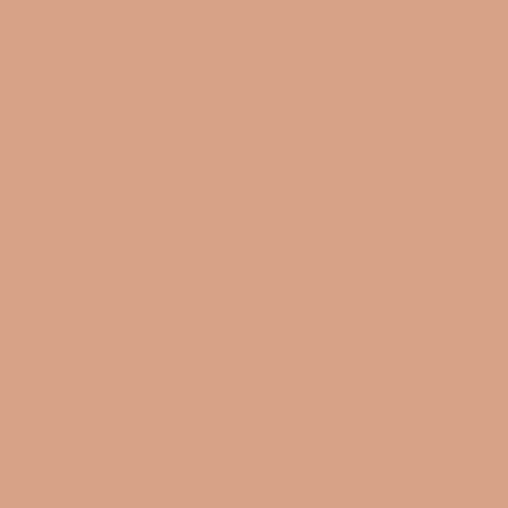 Naperon, A worn terracotta. By Farrow &amp; Ball, available at JC Licht in Chicago, IL.