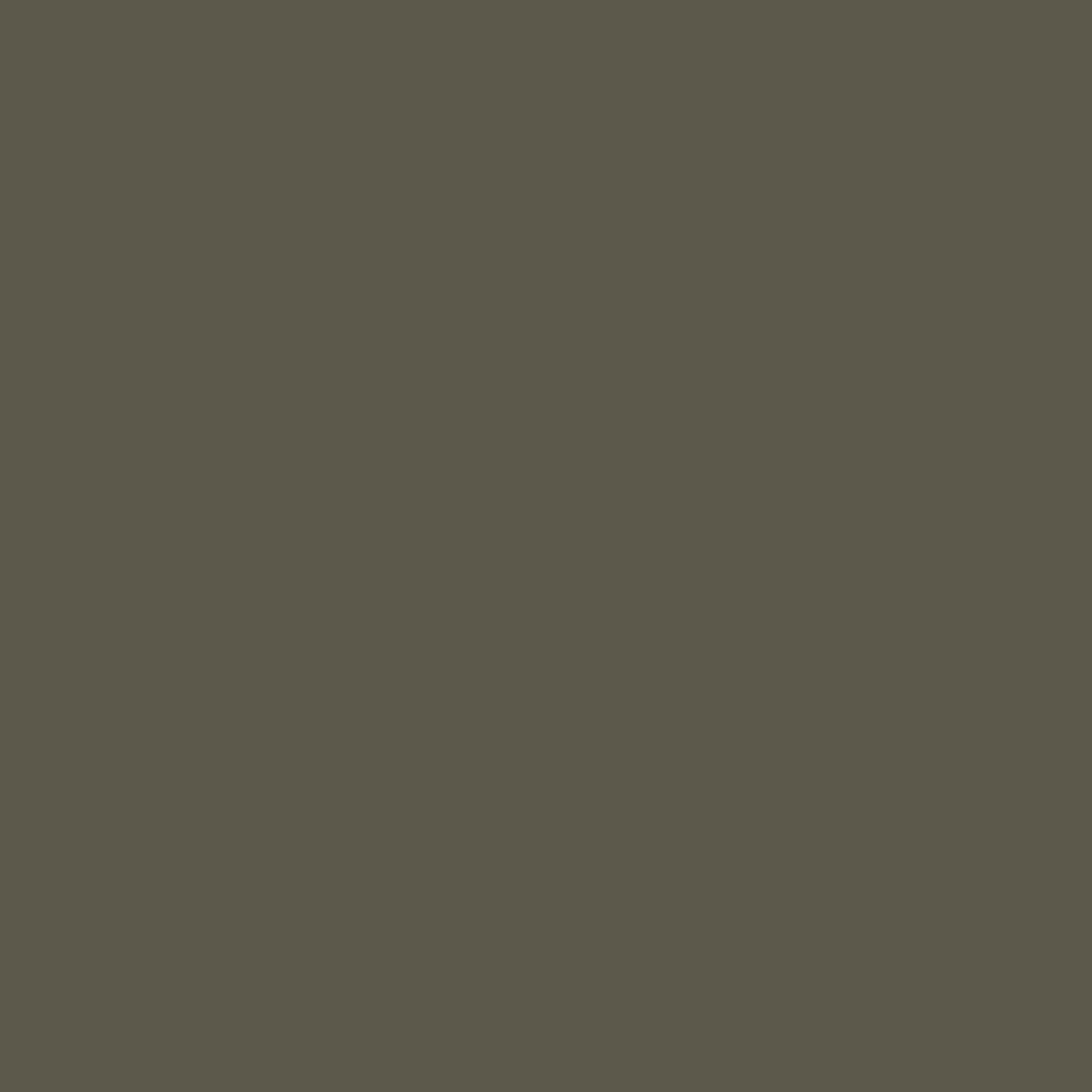 Reduced Green, A dark, earthy green. By Farrow &amp; Ball, available at JC Licht in Chicago, IL.