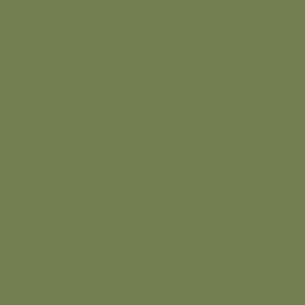 Sap Green, an earthy green, by Farrow &amp; Ball, available at JC Licht in Chicago, IL.