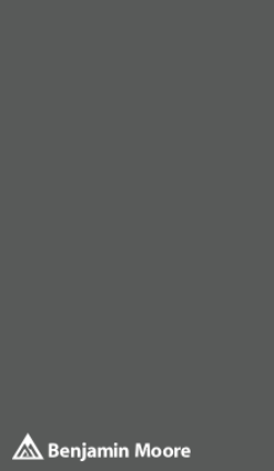 2121-10 Gray Peel & Stick Color Swatch by Benjamin Moore, available at JC Licht in Chicago, IL.
