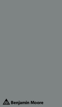 2134-40 Shark Gray Peel & Stick Color Swatch | JC Licht