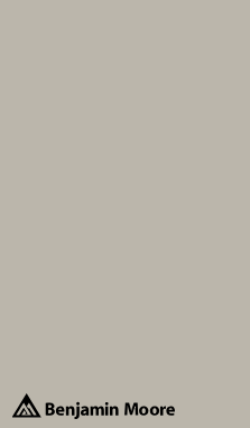 1551 La Paloma Gray Peel & Stick Color Swatch by Benjamin Moore, available at JC Licht in Chicago, IL.