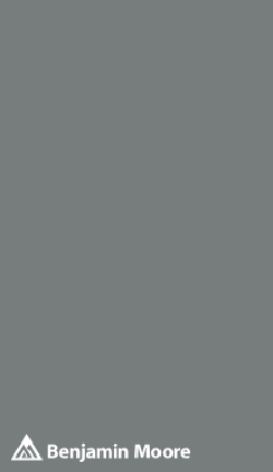 2121-20 Steel Wool Peel & Stick Color Swatch by Benjamin Moore, available at JC Licht in Chicago, IL.