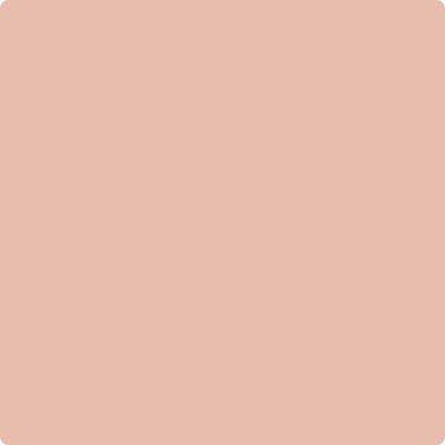 052 Conch Shell a Paint Color by Benjamin Moore | JC Licht