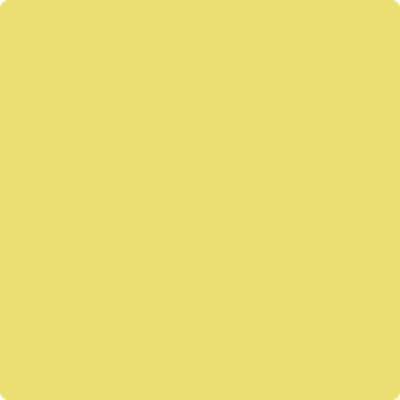 Shop Benajmin Moore&#39;s 2024-40 Yellow Finch at JC Licht in Chicago, IL. Chicagolands favorite Benjamin Moore dealer.