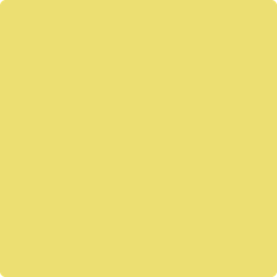 Shop Benajmin Moore's 2024-40 Yellow Finch at JC Licht in Chicago, IL. Chicagolands favorite Benjamin Moore dealer.