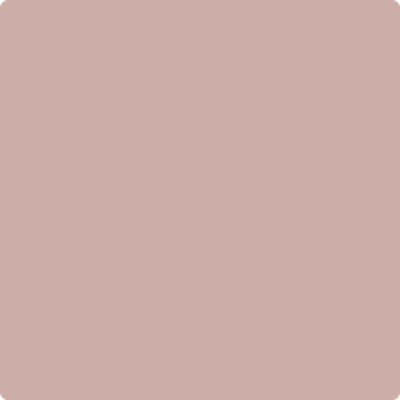 Shop Benajmin Moore's 2102-50 Rose Bisque at JC Licht in Chicago, IL. Chicagolands favorite Benjamin Moore dealer.