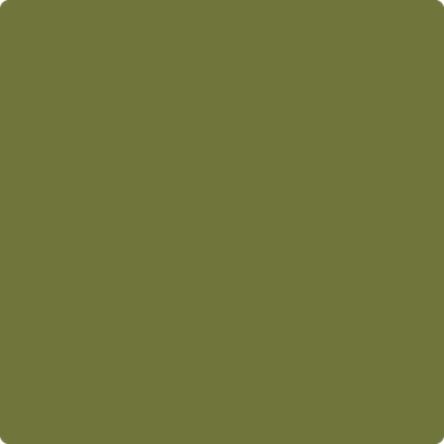 Shop Benajmin Moore's 2145-10 Avocado at JC Licht in Chicago, IL. Chicagolands favorite Benjamin Moore dealer.