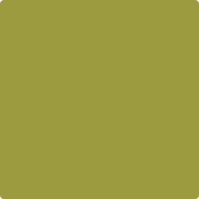 Shop Benajmin Moore's 2146-20 Forest Moss at JC Licht in Chicago, IL. Chicagolands favorite Benjamin Moore dealer.