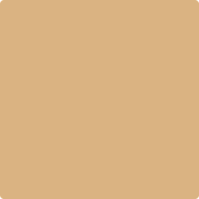 Shop Benajmin Moore&#39;s 2165-40 Dark Beige at JC Licht in Chicago, IL. Chicagolands favorite Benjamin Moore dealer.