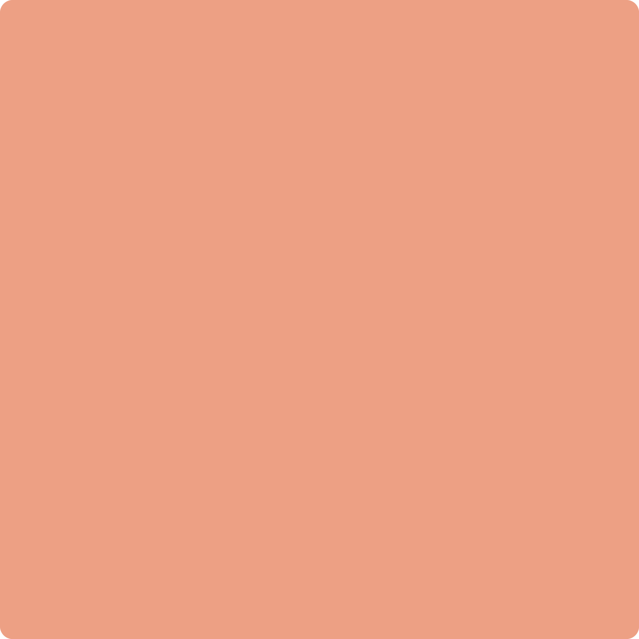 2170-40 Coral Spice a Paint Color by Benjamin Moore | JC Licht