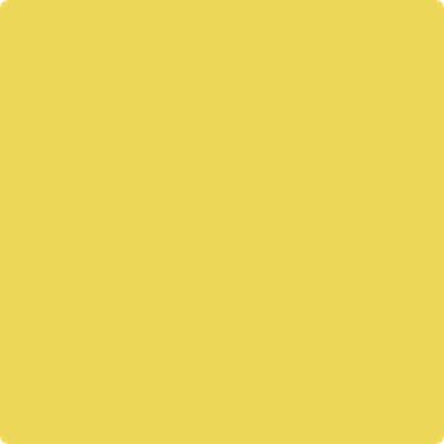 Shop Benajmin Moore&#39;s 355 Majestic Yellow at JC Licht in Chicago, IL. Chicagolands favorite Benjamin Moore dealer.