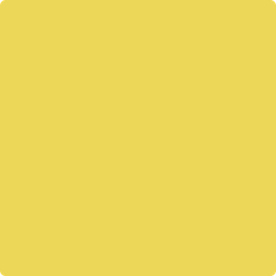 Shop Benajmin Moore's 355 Majestic Yellow at JC Licht in Chicago, IL. Chicagolands favorite Benjamin Moore dealer.