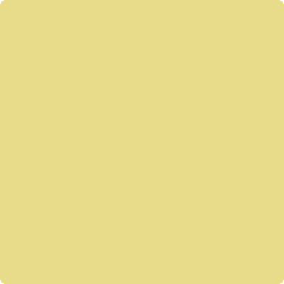 Shop Benajmin Moore's 369 Mulholland Yellow at JC Licht in Chicago, IL. Chicagolands favorite Benjamin Moore dealer.