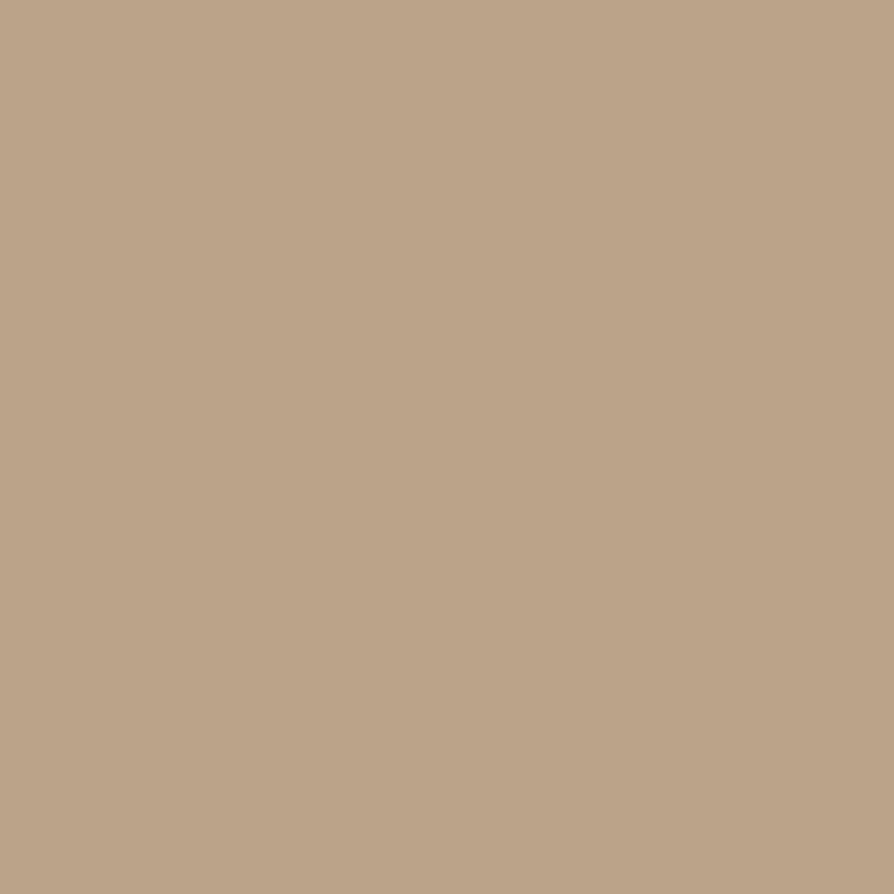 CW-125 Brush Beige a Benjamin Moore paint color from the Williamsburg Color Collection.