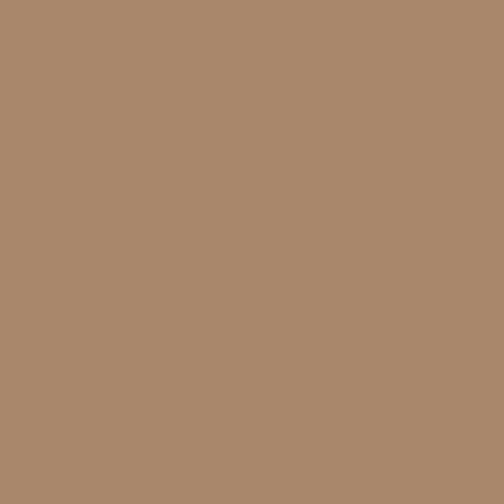 CW-195 Chowning&#39;S Tan a Benjamin Moore paint color from the Williamsburg Color Collection.