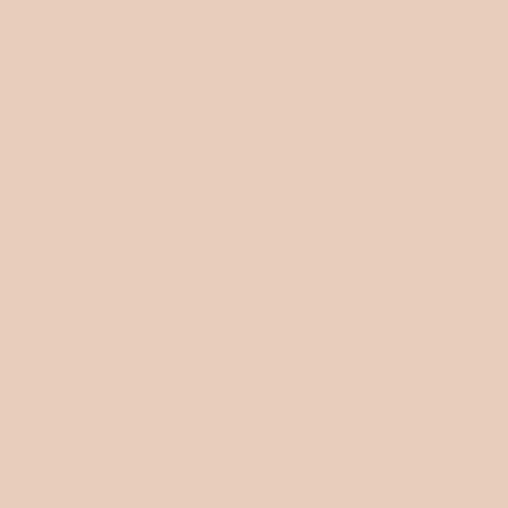 CW-205 Raleigh Peach a Benjamin Moore paint color from the Williamsburg Color Collection.
