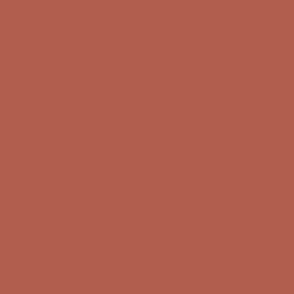 CW-310 China Red a Benjamin Moore paint color from the Williamsburg Color Collection.