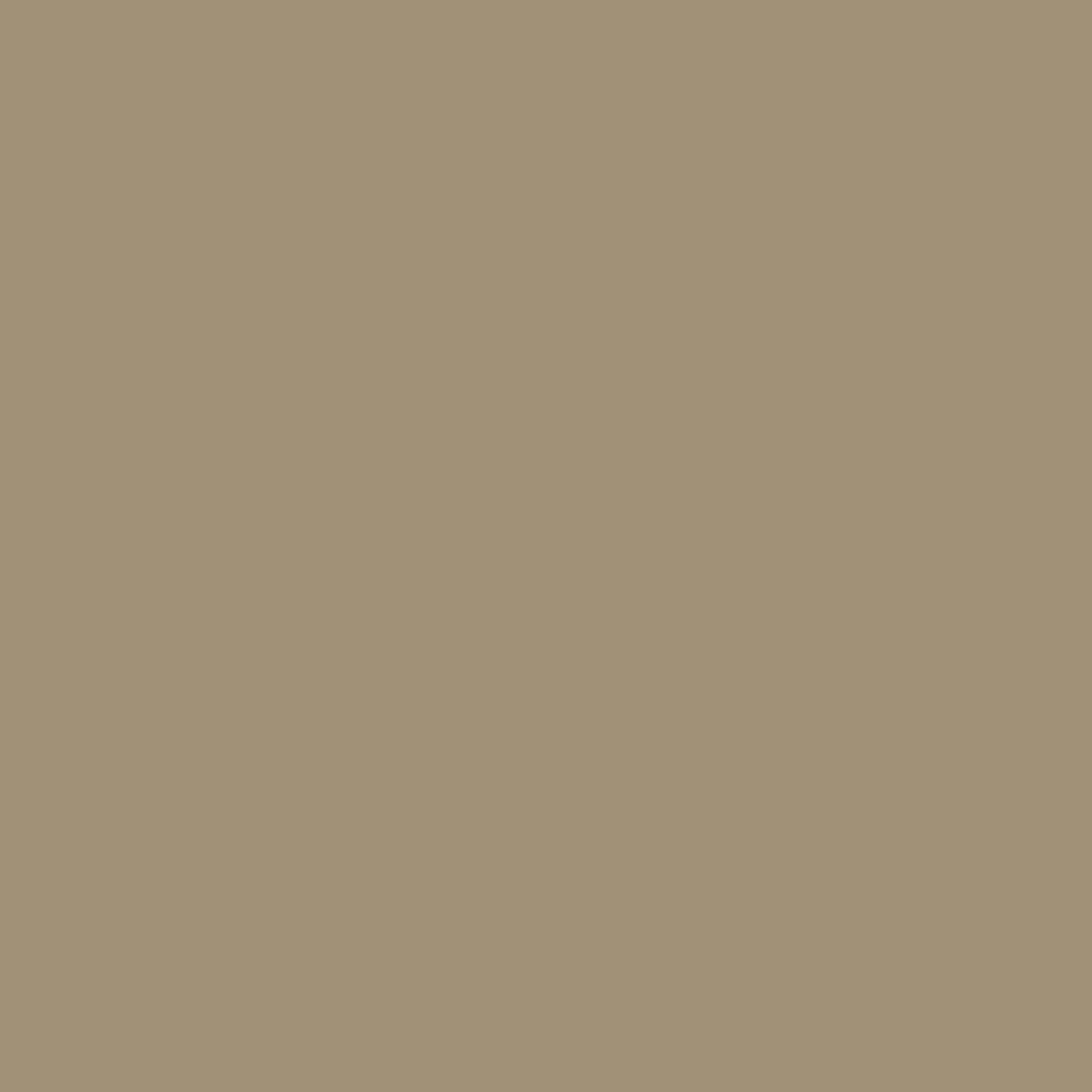 CW-35 Palace Tan a Benjamin Moore paint color from the Williamsburg Color Collection.