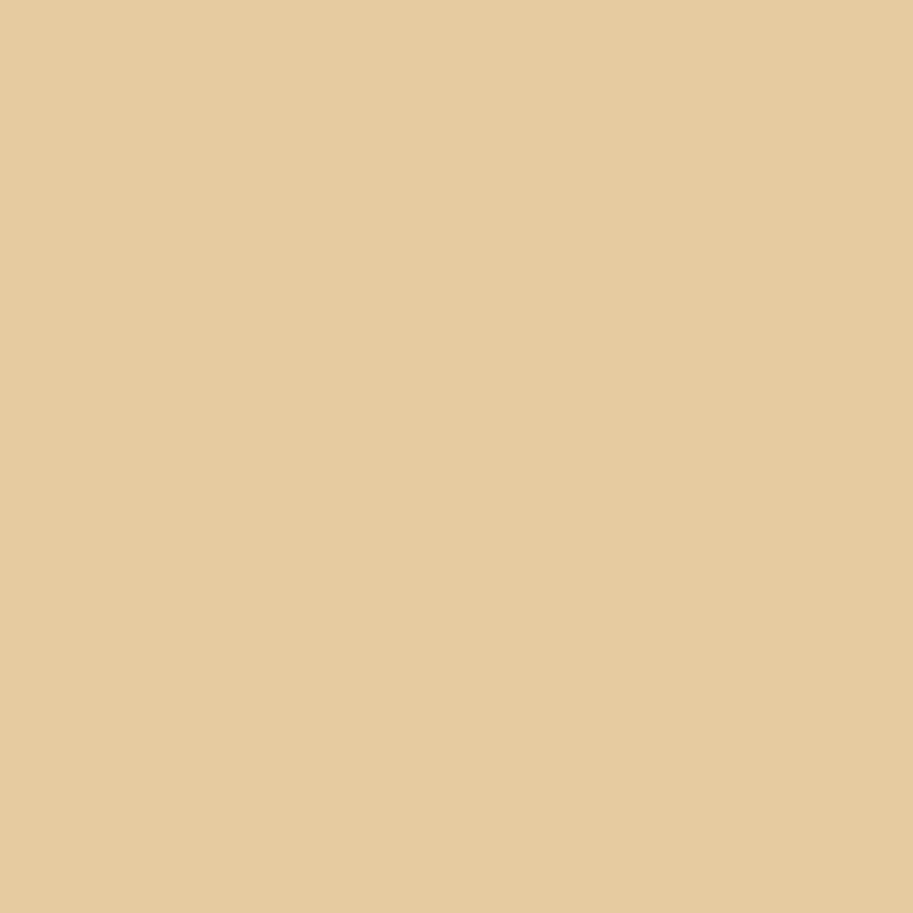 CW-365 Byrd Beige a Benjamin Moore paint color from the Williamsburg Color Collection.