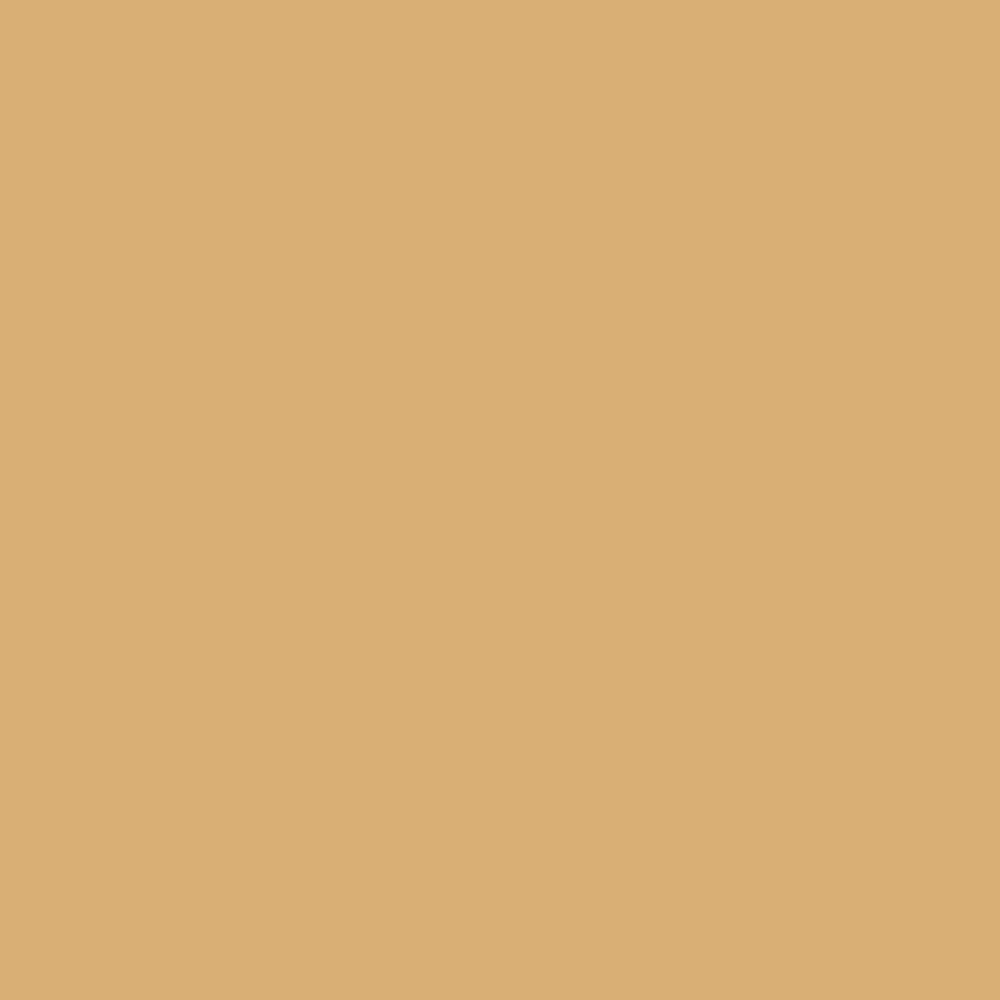 CW-375 Tavern Ochre a Benjamin Moore paint color from the Williamsburg Color Collection.