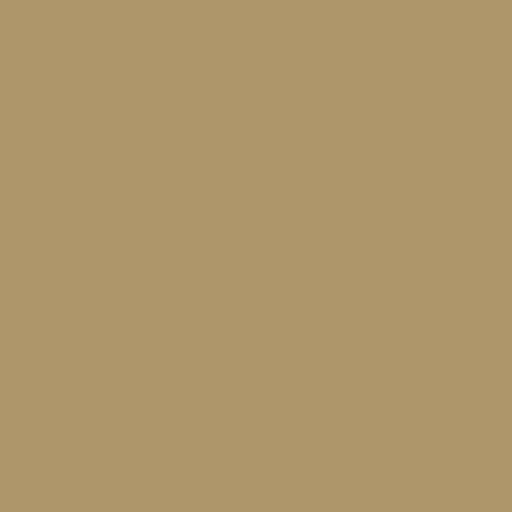 CW-435 Everard Gold a Benjamin Moore paint color from the Williamsburg Color Collection.