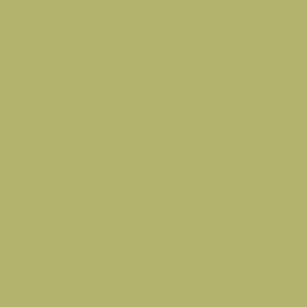 CW-465 Parrot Green a Benjamin Moore paint color from the Williamsburg Color Collection.