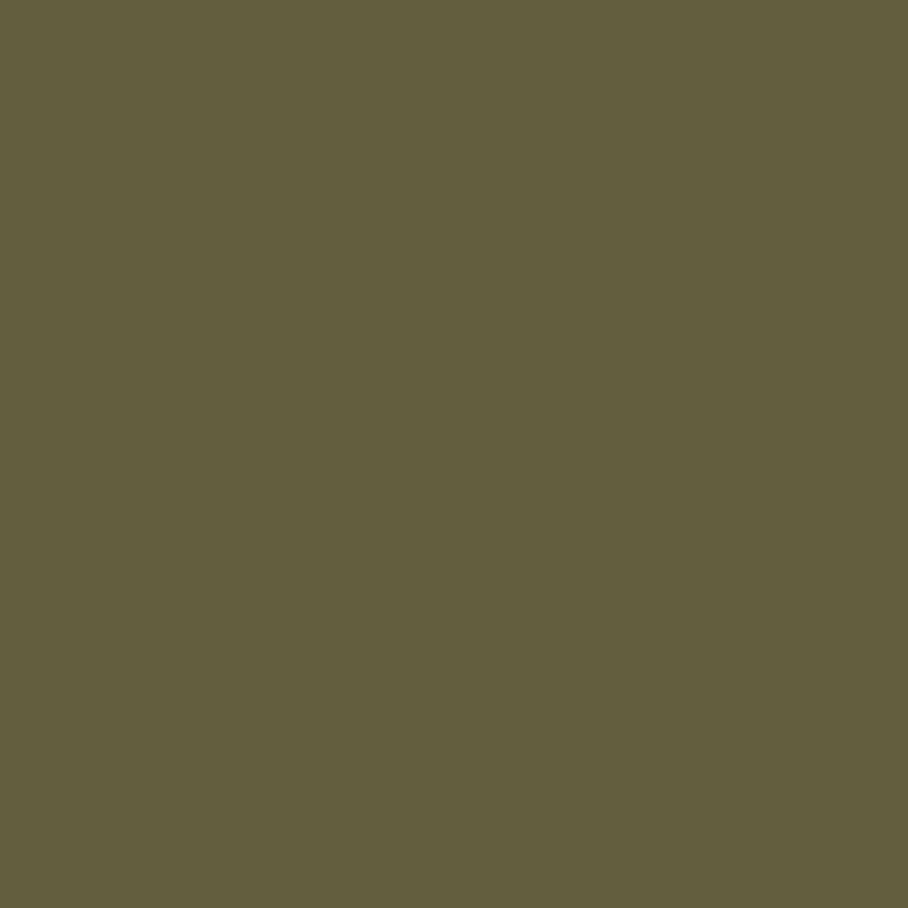CW-475 Palmer Green a Benjamin Moore paint color from the Williamsburg Color Collection.