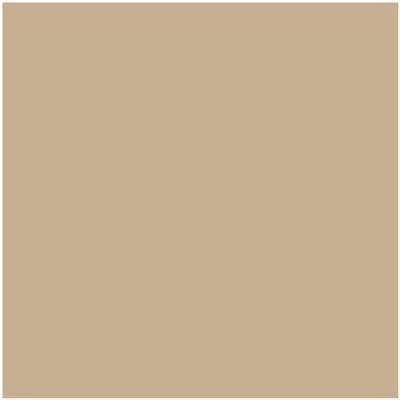 Shop Benajmin Moore's HC-44 Lenox Tan at JC Licht in Chicago, IL. Chicagolands favorite Benjamin Moore dealer.