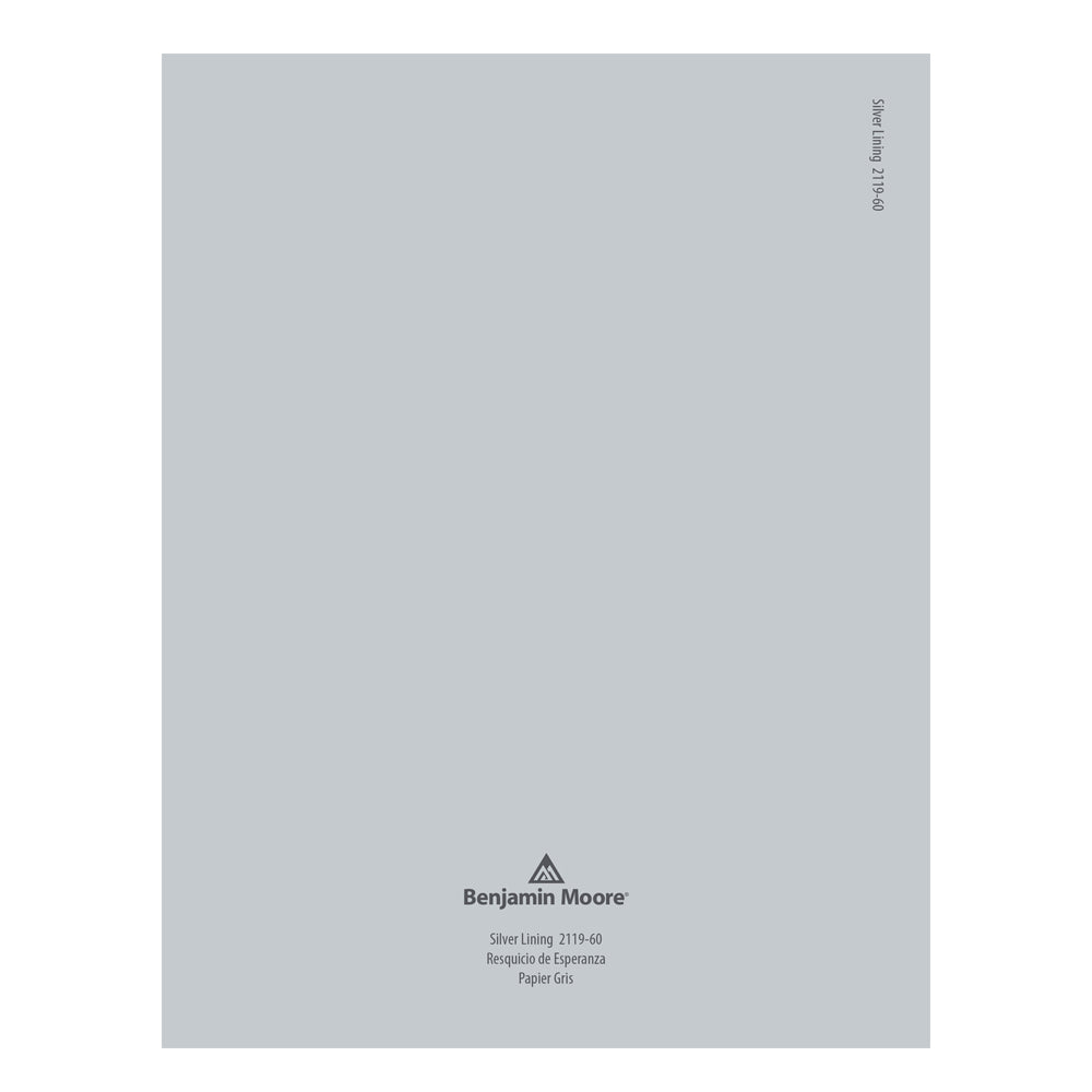 2119-60 Silver Lining Peel &amp; Stick Color Swatch by Benjamin Moore, available at JC Licht in Chicago, IL.
