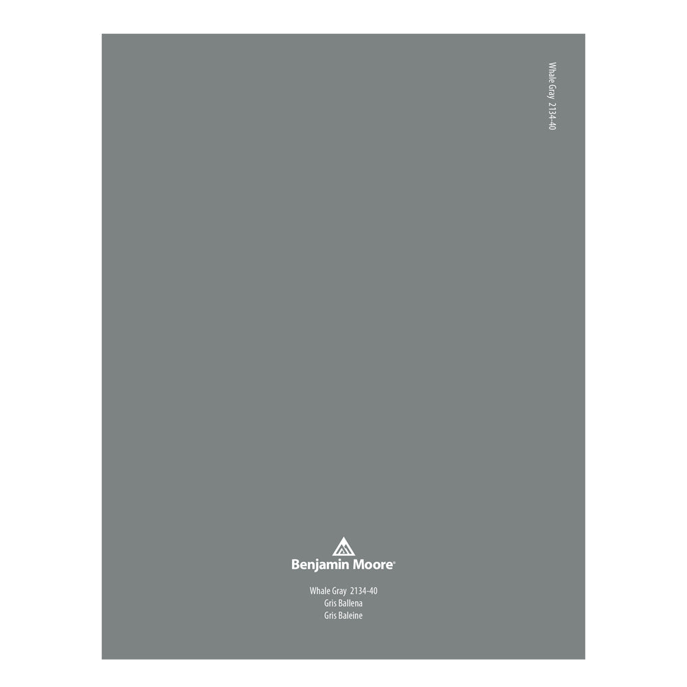 2134-40 Whale Gray Peel &amp; Stick Color Swatch by Benjamin Moore, available at JC Licht in Chicago, IL.