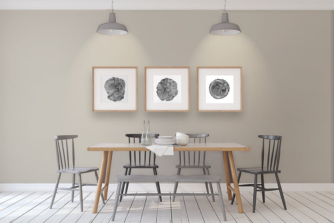 Shop Benajmin Moore's OC-28 Collingwood at JC Licht in Chicago, IL. Chicagolands favorite Benjamin Moore dealer.